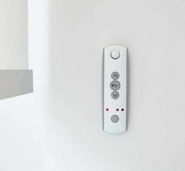 Somfy afstandsbediening2